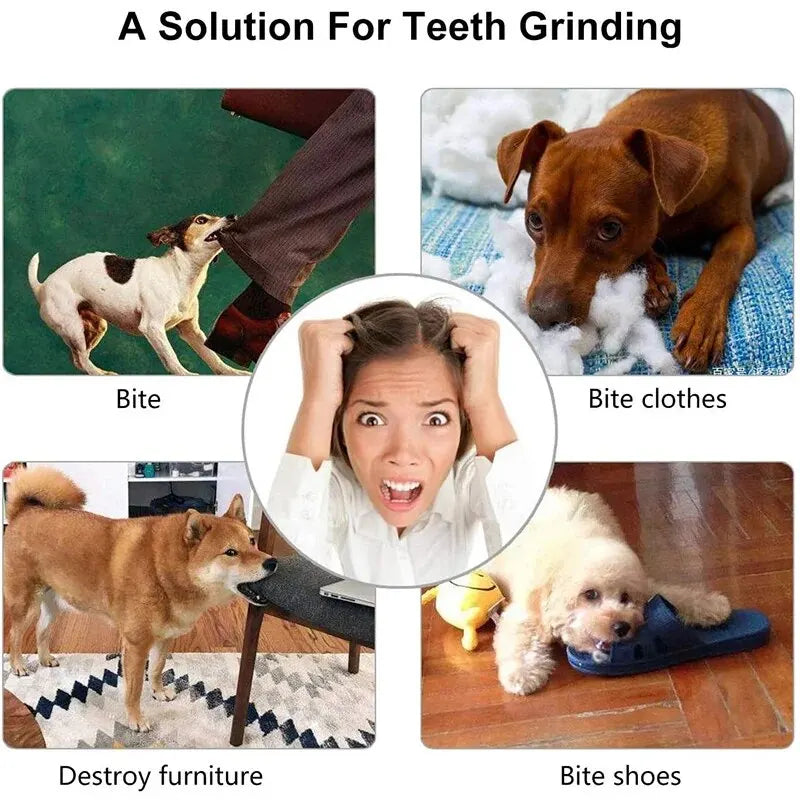 Dog Treat Ball Toy - Interactive Food Feeder & Teeth Cleaner for Dogs