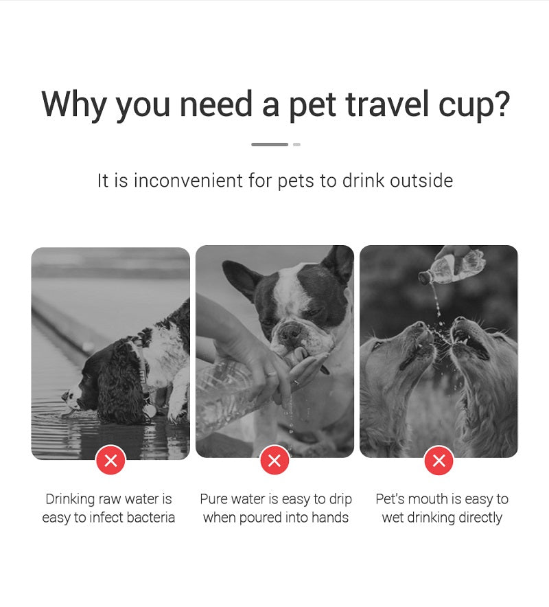 Portable Dog Water Bottle - Leakproof Travel Water Dispenser for Dogs & Cats