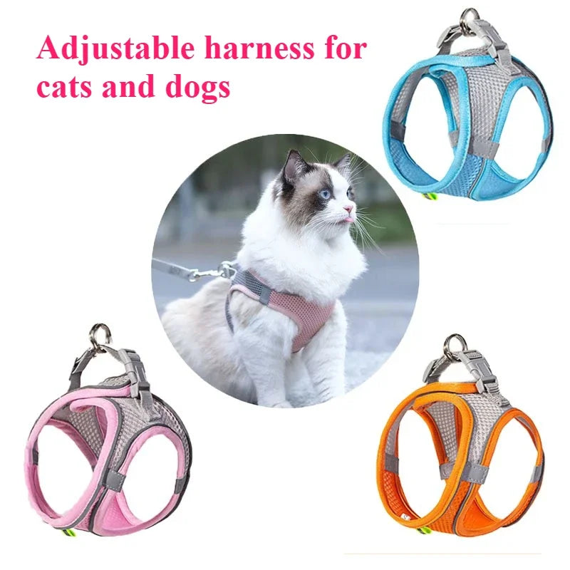 Plush Squeaky Dog Toy - Interactive Chew Toy for Cats & Dogs