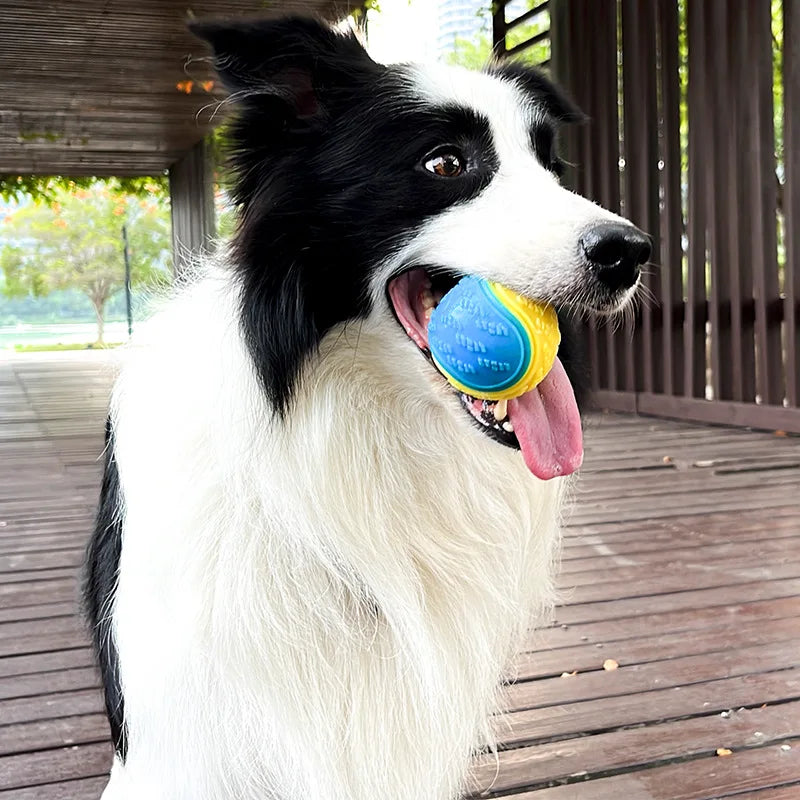 Interactive Dog Toy Ball Set - Squeaky TPR Chew Toys for Teeth Cleaning