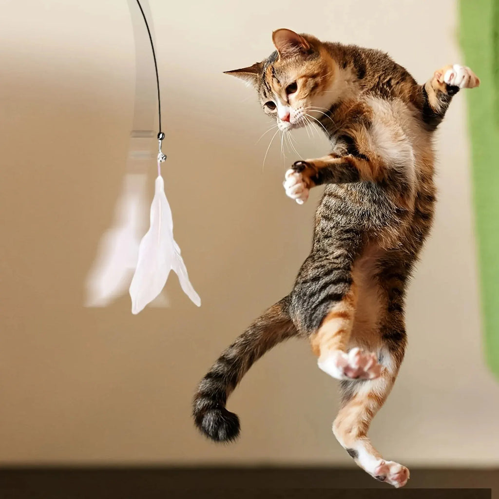 Interactive Cat Feather Wand Toy - Teaser Stick with Suction Cup Base