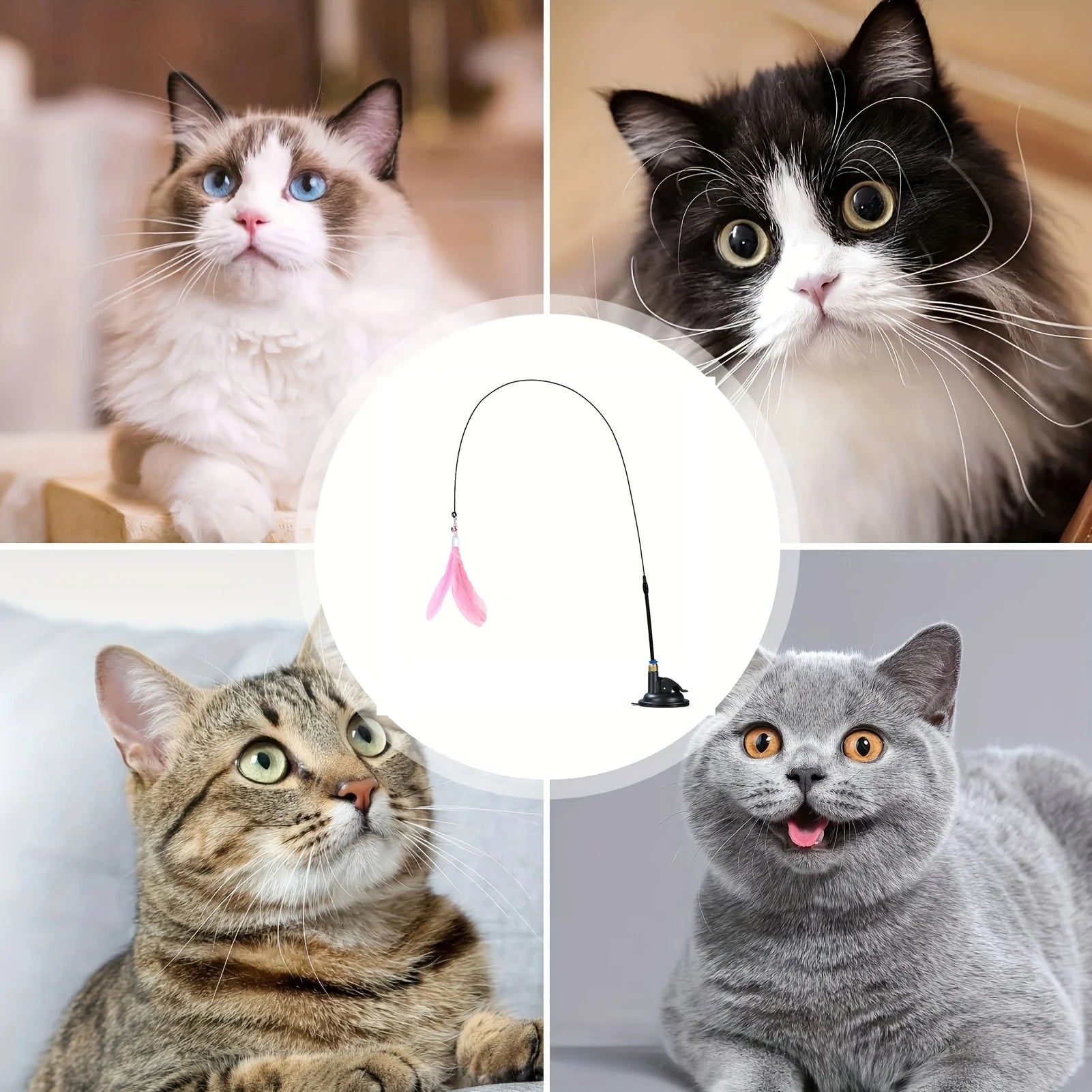 Interactive Cat Feather Wand Toy - Teaser Stick with Suction Cup Base