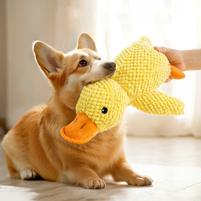 Plush Squeaky Dog Toy - Interactive Chew Toy for Cats & Dogs