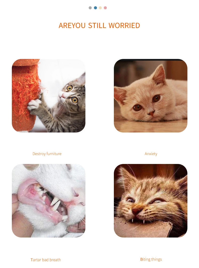 Carrot Cat Chew Toy - Interactive Wood & Paper Scratching Toy for Cat