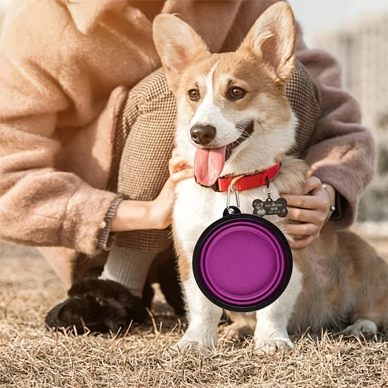 Collapsible Dog Travel Bowl - Portable Foldable Food & Water Bowl for Dogs