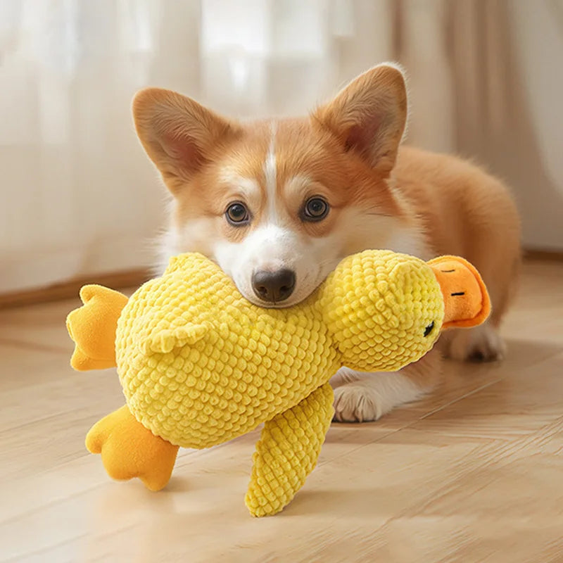 Plush Squeaky Dog Toy - Interactive Chew Toy for Cats & Dogs